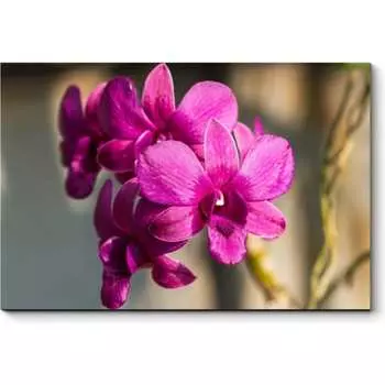 Картина Picsis 631-10374052