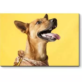 Картина Picsis 3675-10084785