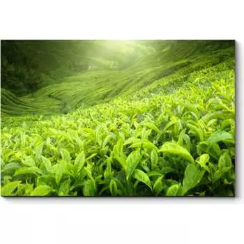 Картина Picsis 3459-9955330