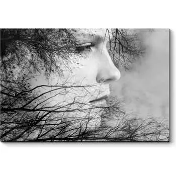 Картина Picsis 3867-12023068