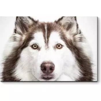 Картина Picsis 3748-9847698