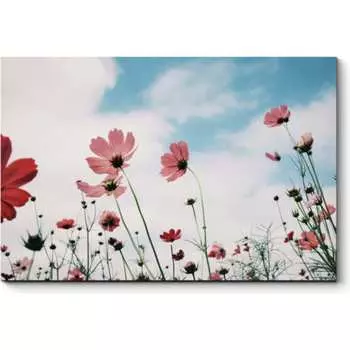 Картина Picsis 2810-10795433