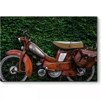 Картина Picsis 2081-10652131