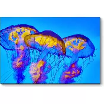 Картина Picsis 4919-10932234