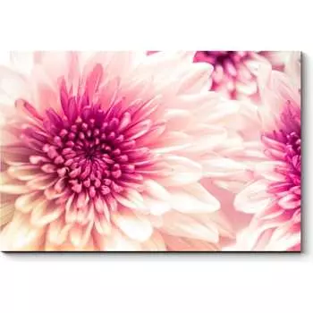 Картина Picsis 4554-10028924