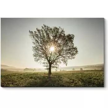 Картина Picsis 3441-9831737