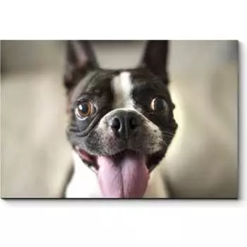 Картина Picsis 3710-10095396