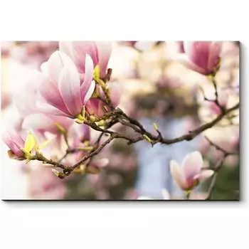 Картина Picsis 2838-10304273