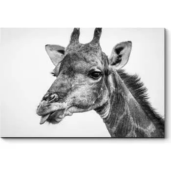 Картина Picsis 4996-10938994