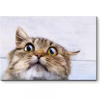 Картина Picsis 3663-10082103