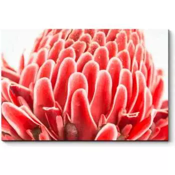 Картина Picsis 4581-9759847