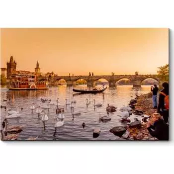 Картина Picsis 4534-10125654