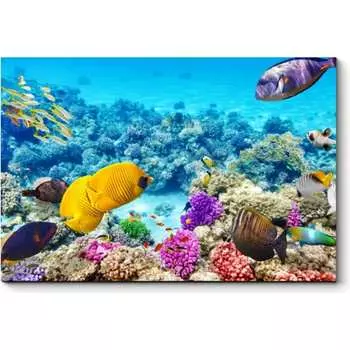 Картина Picsis 967-10486251