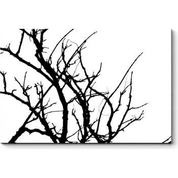 Картина Picsis 2541-10480344