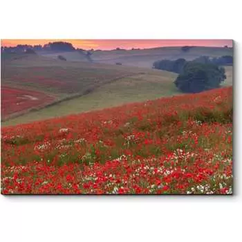 Картина Picsis 3461-9955964