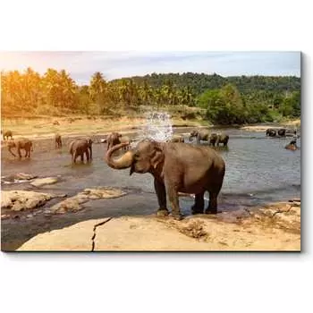 Картина Picsis 4898-10926807