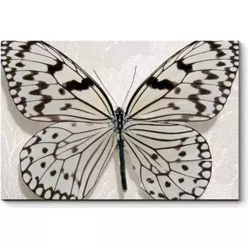 Картина Picsis 885-10447701