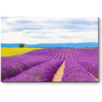 Картина Picsis 3447-9952760