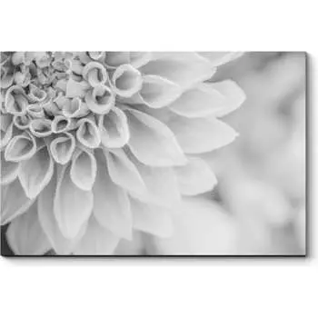 Картина Picsis 2527-10475774