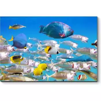 Картина Picsis