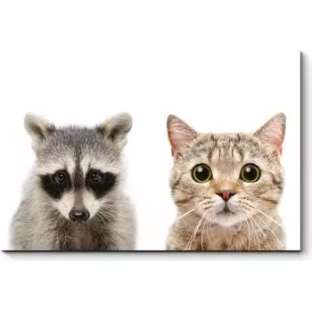 Картина Picsis 3634-10067299