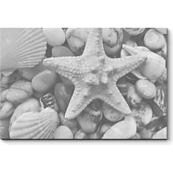 Картина Picsis 4738-10383106