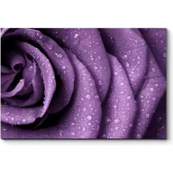 Картина Picsis 2445-10184939