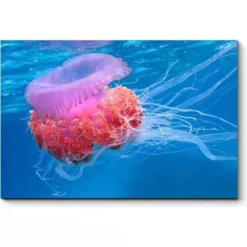 Картина Picsis 1233-10549435