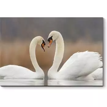 Картина Picsis 1404-10434471