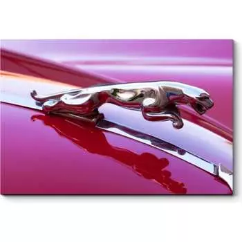 Картина Picsis 5447-10158153