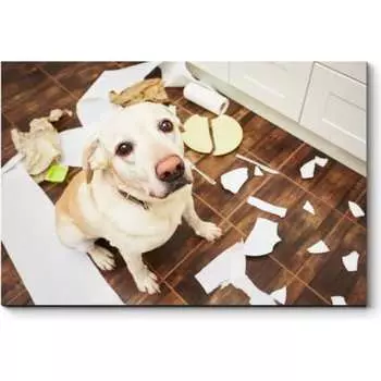 Картина Picsis 3678-10085253