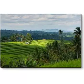 Картина Picsis 3453-9954254