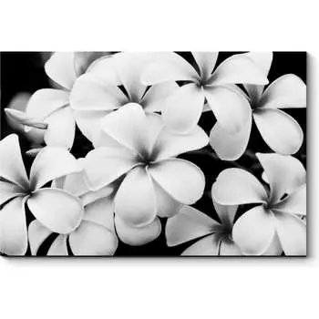 Картина Picsis 2582-10772837