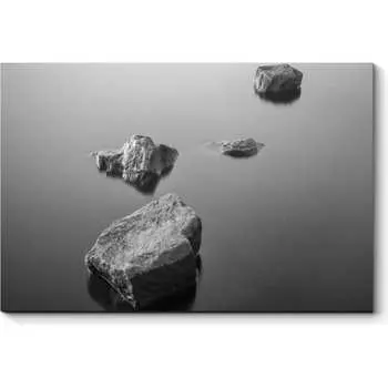 Картина Picsis 2464-10452752