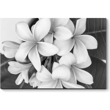 Картина Picsis 2570-10769979