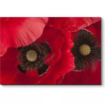 Картина Picsis 4571-12916867