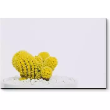 Картина Picsis 6394-13206578