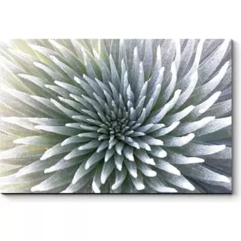 Картина Picsis 2405-9898161