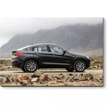 Картина Picsis 5372-10754434