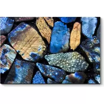 Картина Picsis 4149-10885030