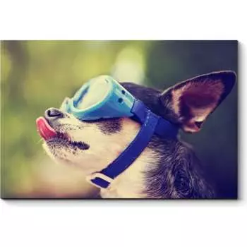 Картина Picsis 3700-10090655