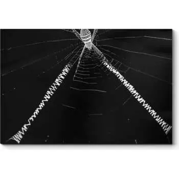 Картина Picsis 2473-10739004