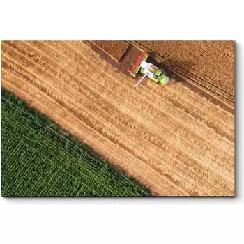 Картина Picsis 3475-9959930