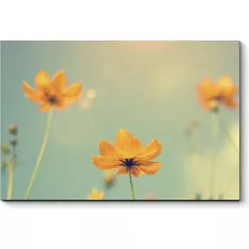 Картина Picsis 2805-10794573