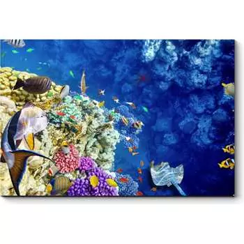 Картина Picsis 960-10484220