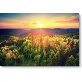 Картина Picsis 3095-10351797