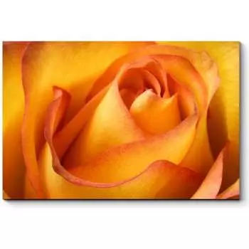 Картина Picsis 2409-9899216