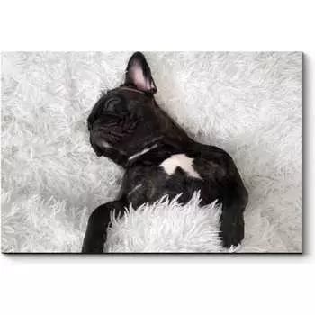 Картина Picsis 3669-10083791