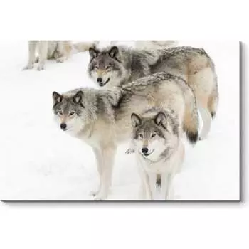 Картина Picsis 3736-9844984