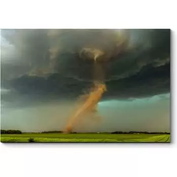 Картина Picsis 3176-10813253